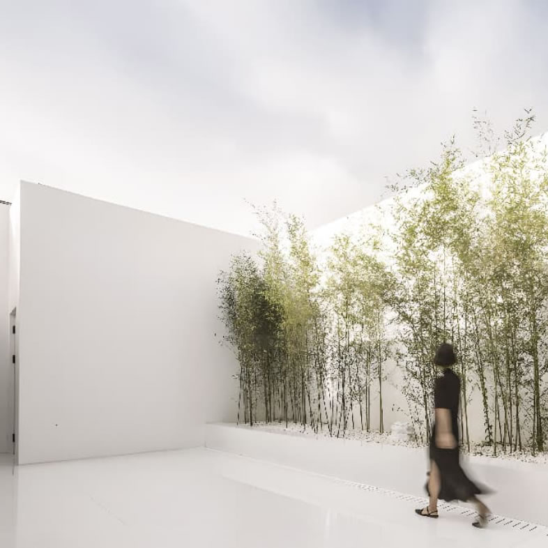 竹林雅集｜回崧VIP养生进阶专享会